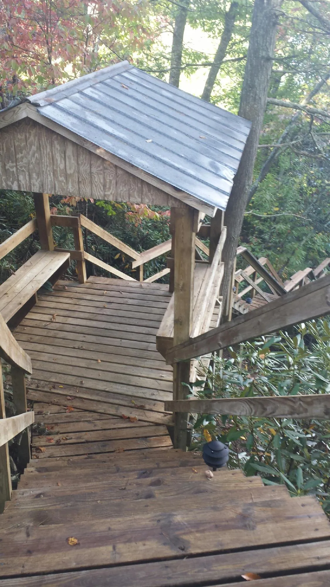 Metal roofed shelter over wooden steps on a wooded walkway — Skylight Repair & Installation work by our crew in Trion